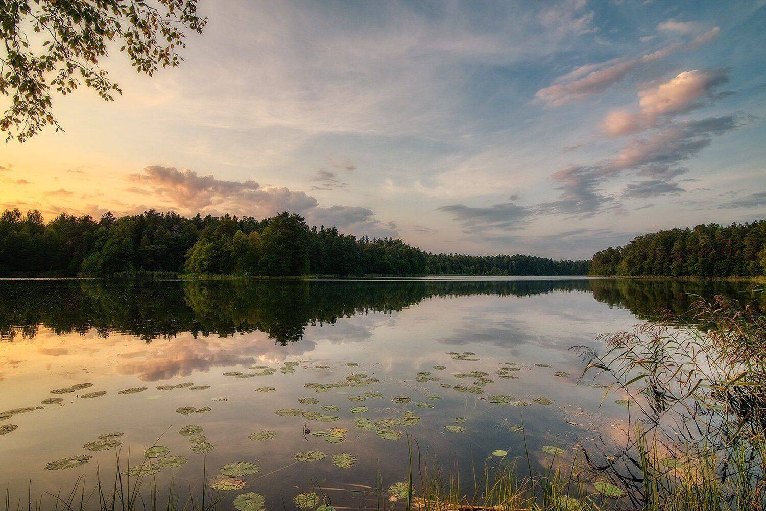 , Федотов Антон