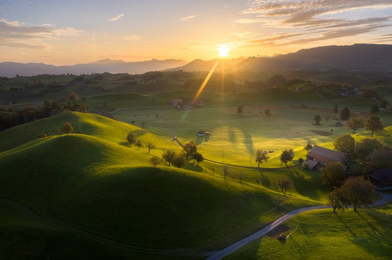 Бархат фото превью