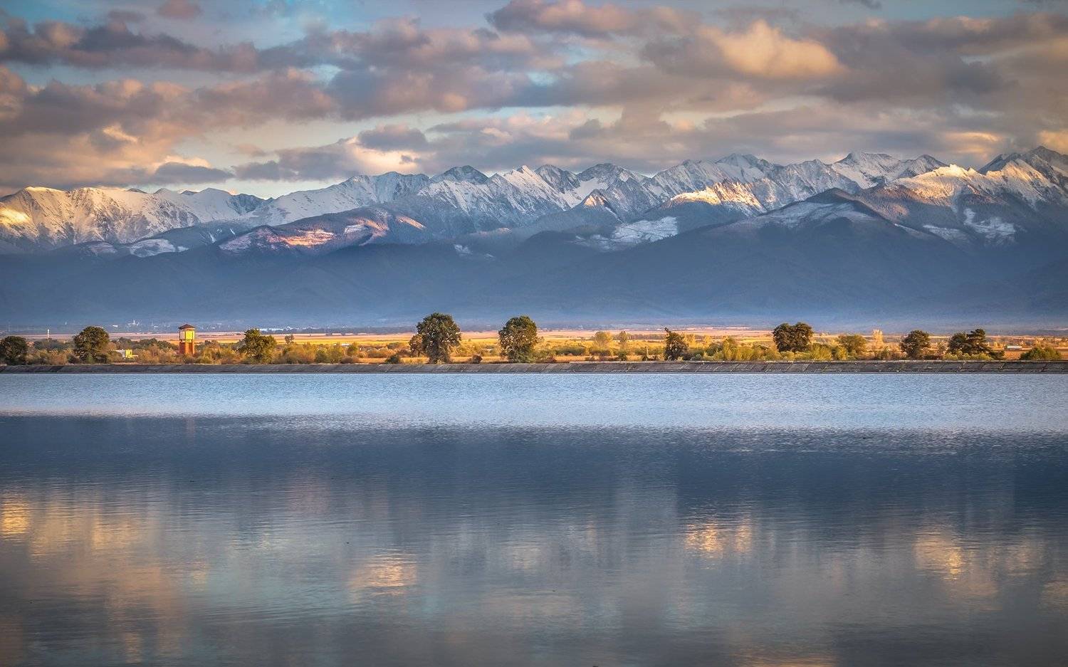 , Елена Маковоз