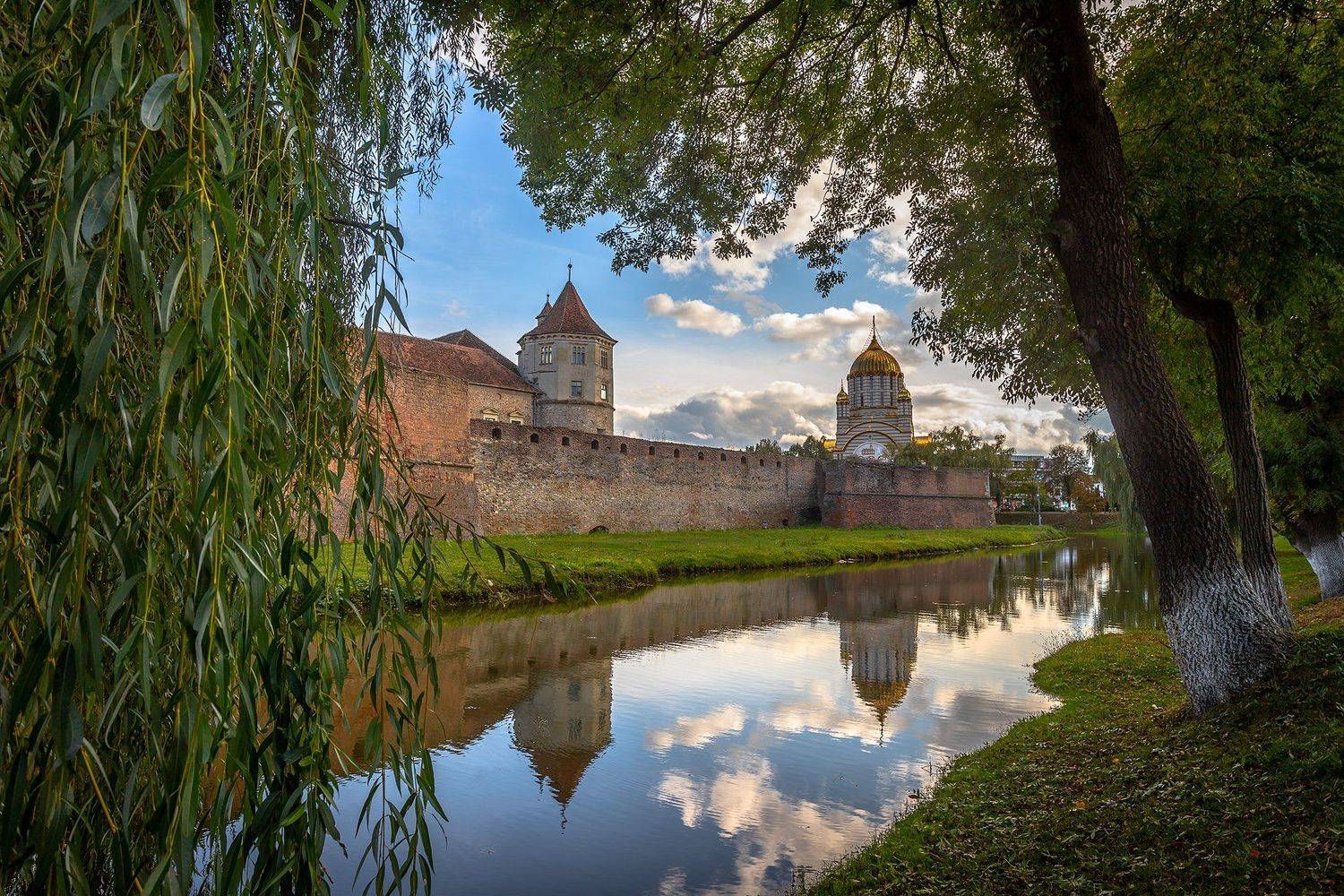 , Елена Маковоз