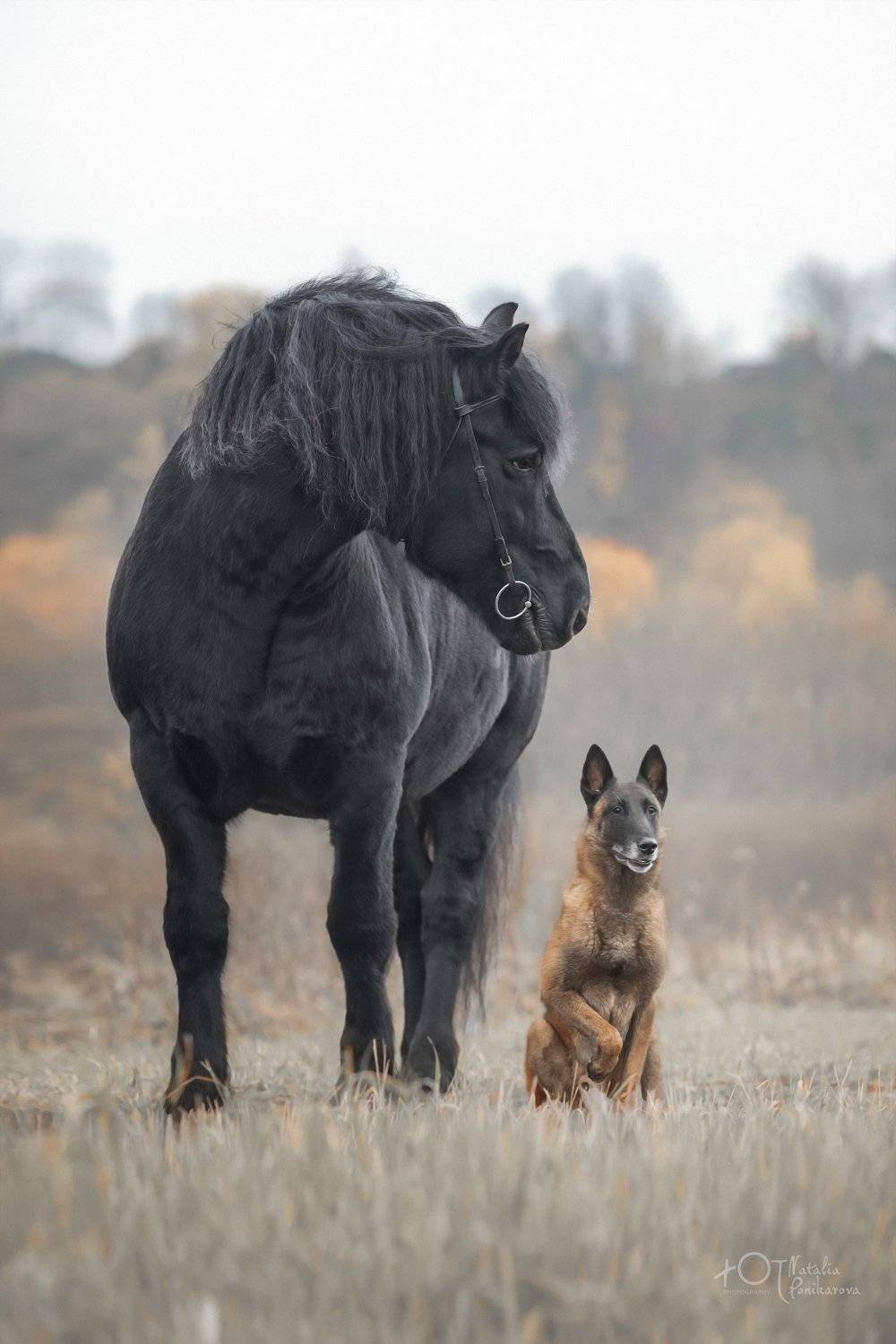 , Наталия Поникарова