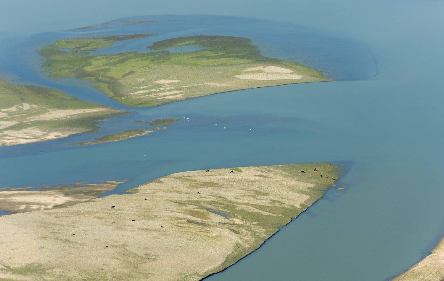 , Васил Анастасовски