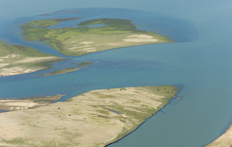 Жизнь фото превью