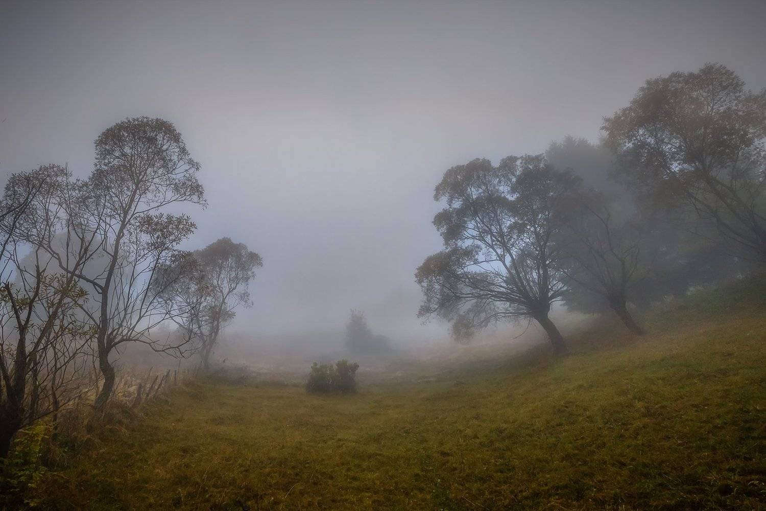 , Елена Маковоз