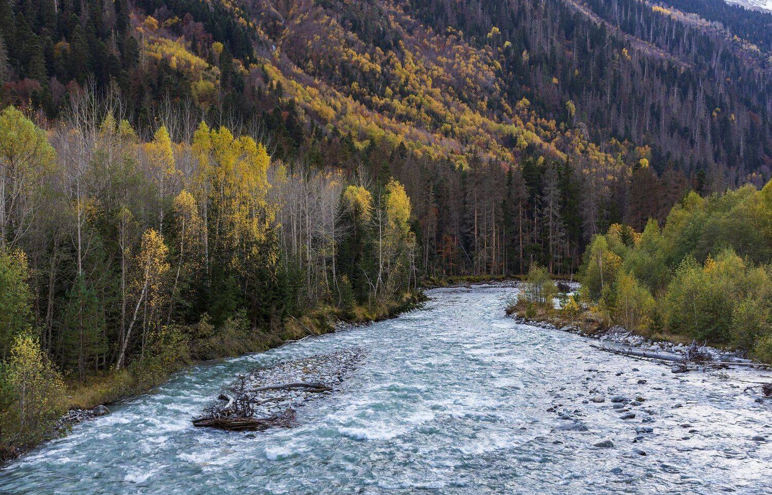 , Дмитрий Новоселов