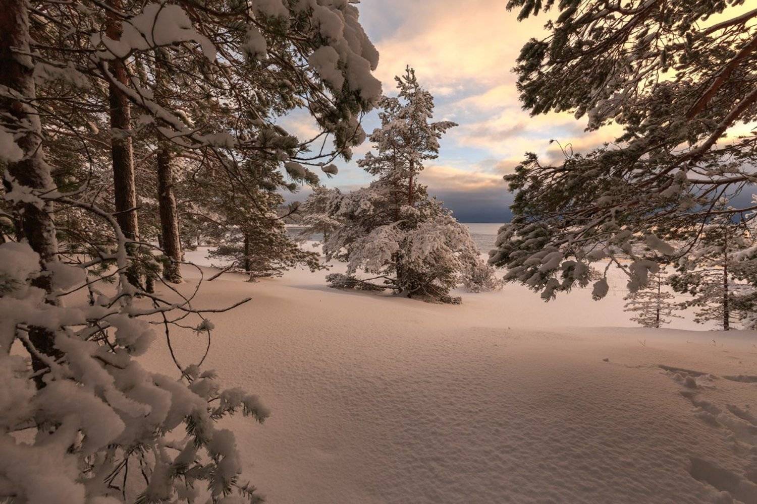 пейзаж,природа,карелия,зима,лес, Юлия Лаптева