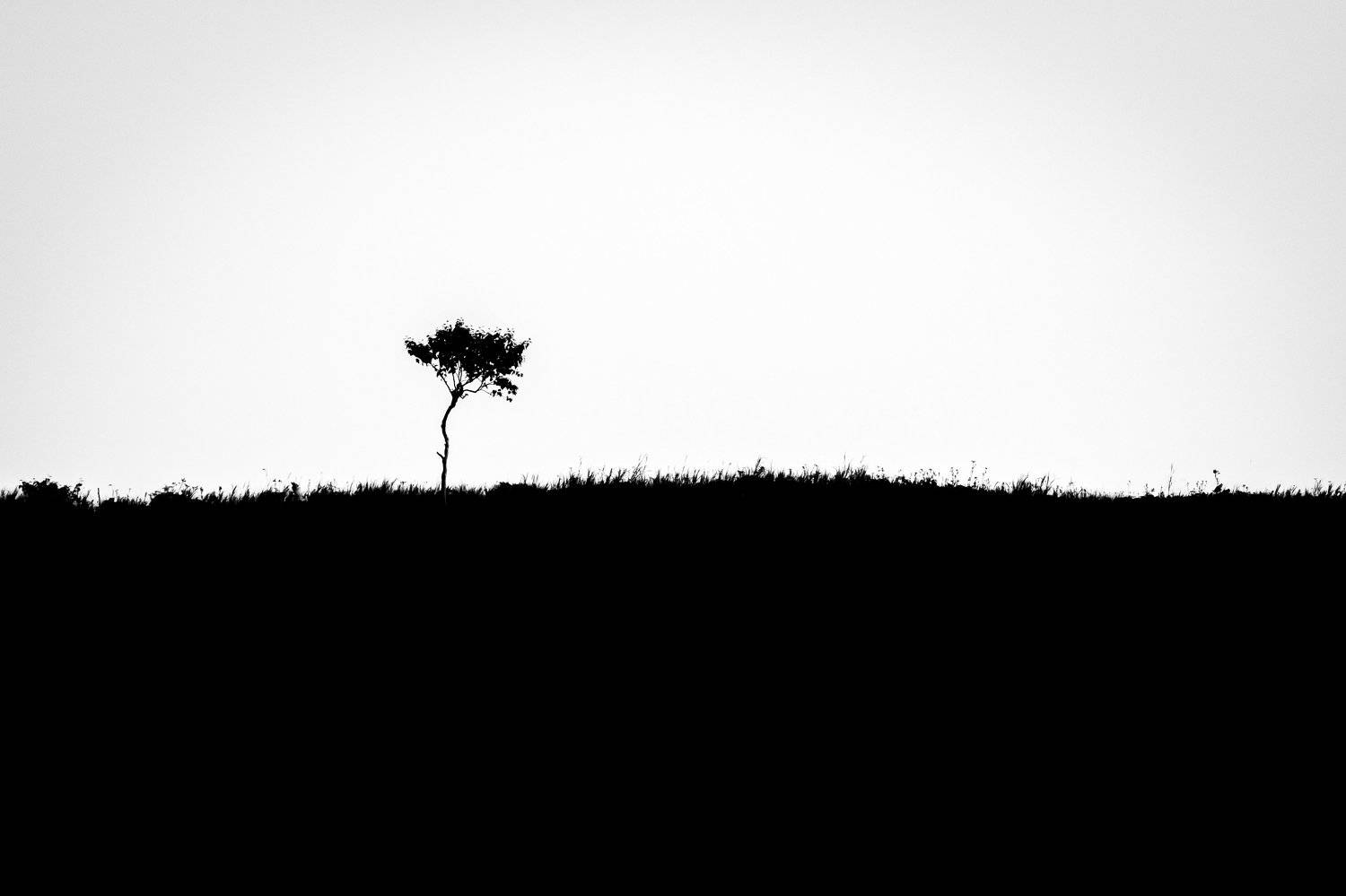 , Денис Винарь