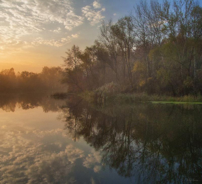 осень,утро,рассвет,река,берег,лес,туман Рассветы осени прохладны ... фото превью
