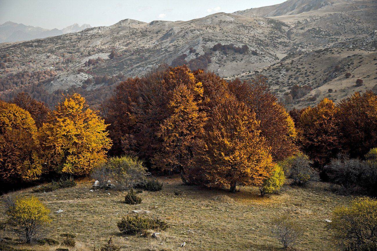 южный, урал, губерля орск, новотроицк, Качурин Алексей