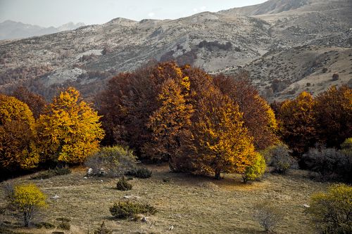 Осень!