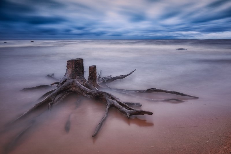 рыбинское, рыбинск Спрут рыбинского моря фото превью