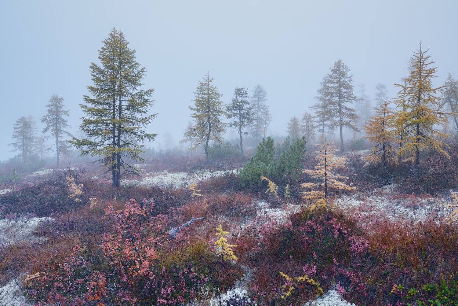 , Максим Евдокимов (phototourtravel.ru)