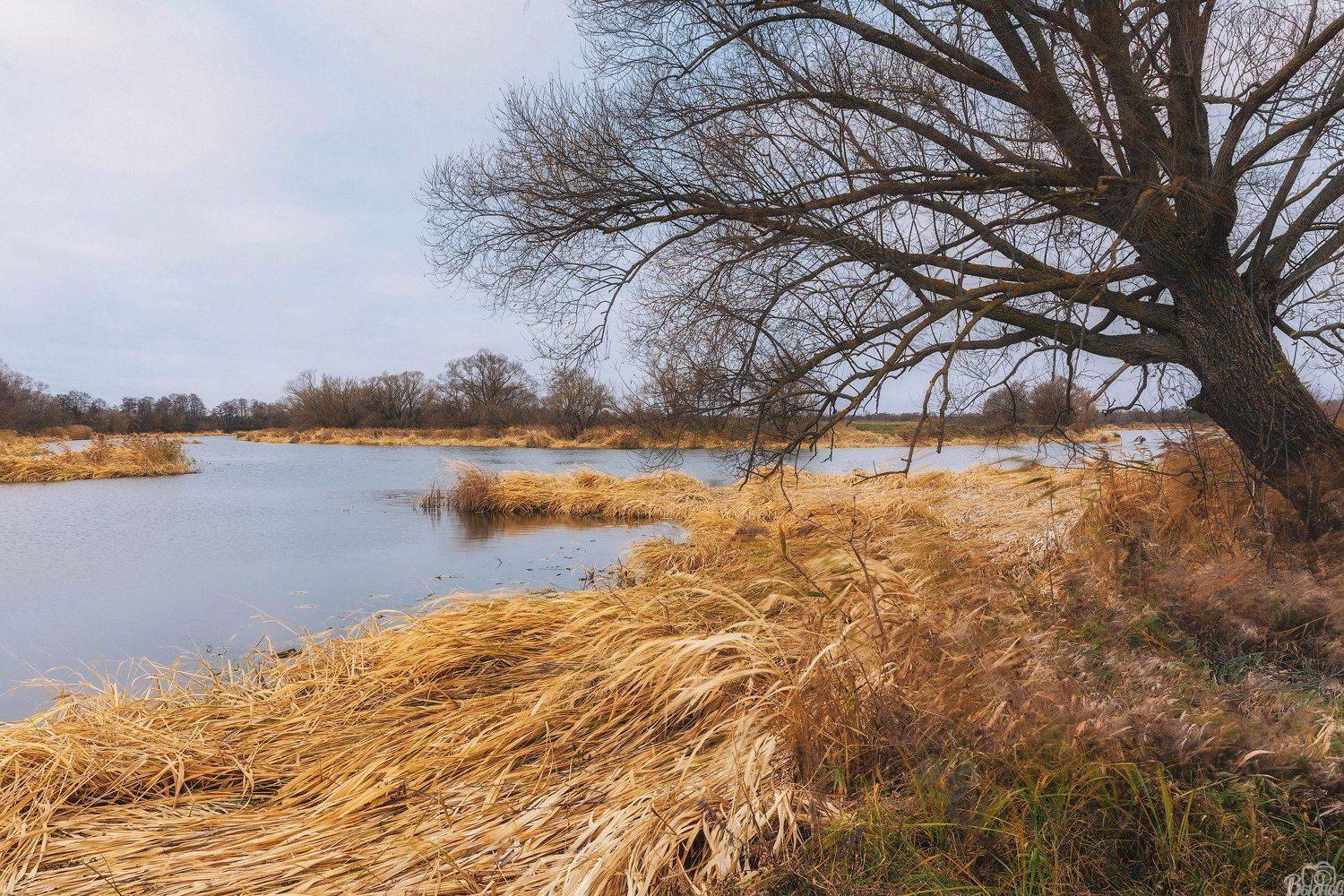 тамбов, тамбовщина, рассвет , восход , тамбовская область, татаново, цна, река цна, Сергей Вьюнов