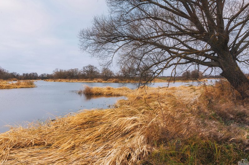 тамбов, тамбовщина, рассвет , восход , тамбовская область, татаново, цна, река цна Хмурое утро фото превью