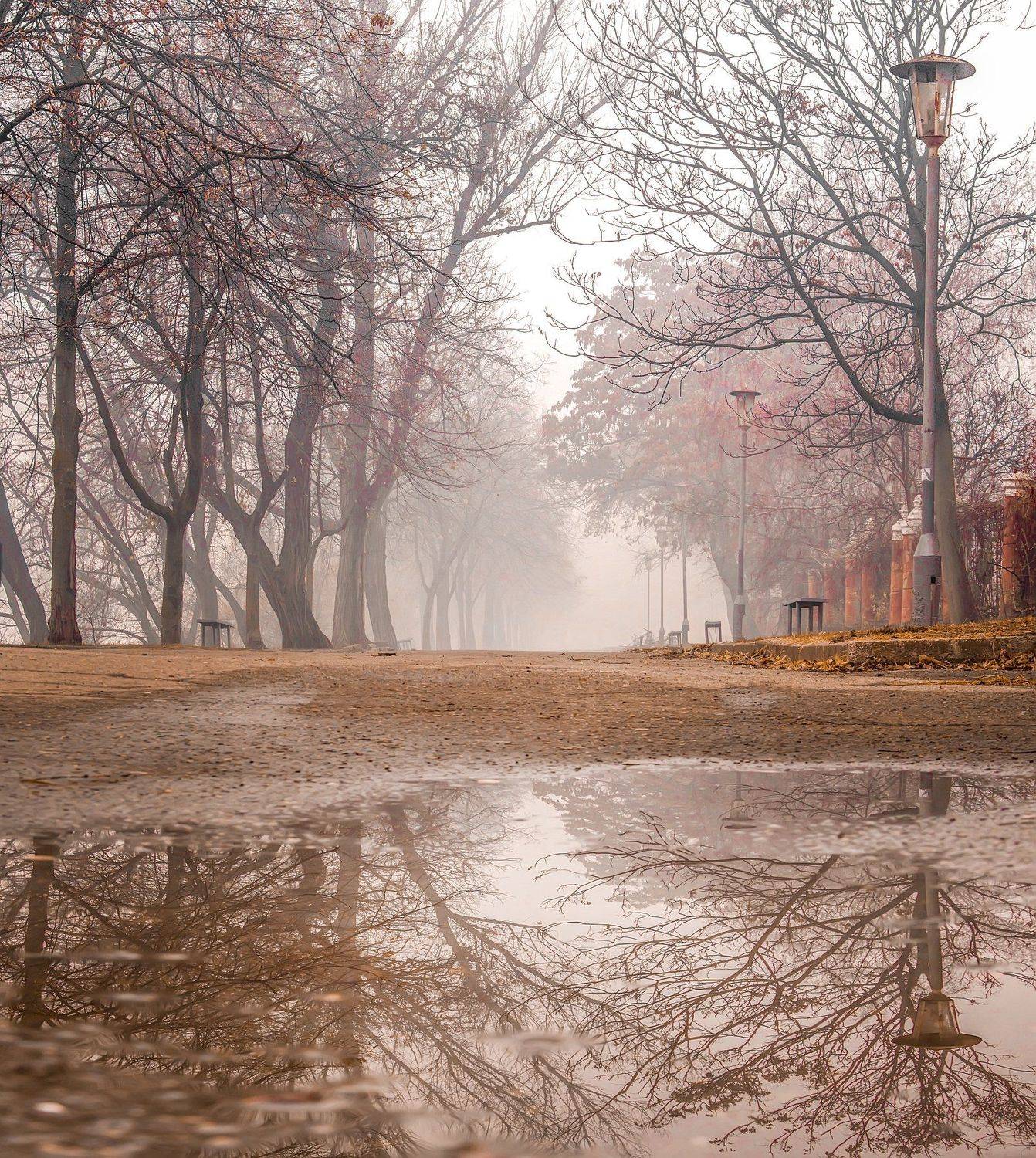 отражения, осень, пейзаж, лужи, природа, Игорь Квочка