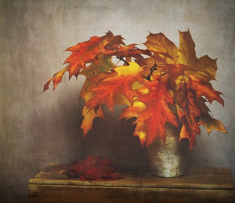 jesiennie фото превью