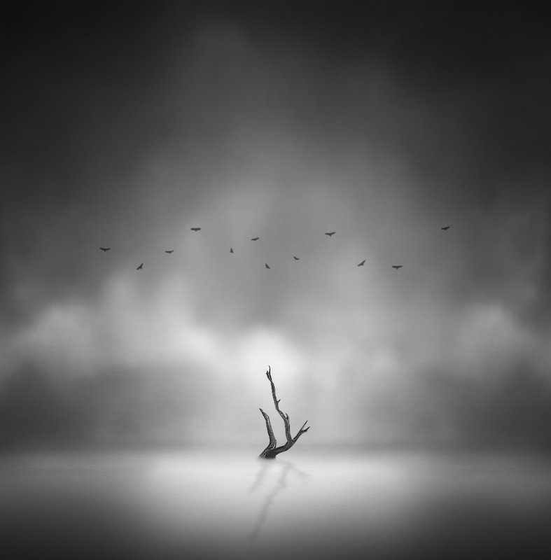 Black and White Mood фото превью