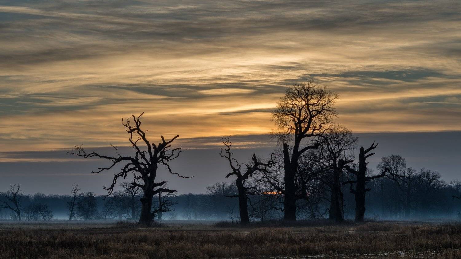 , Maciej Werbliński
