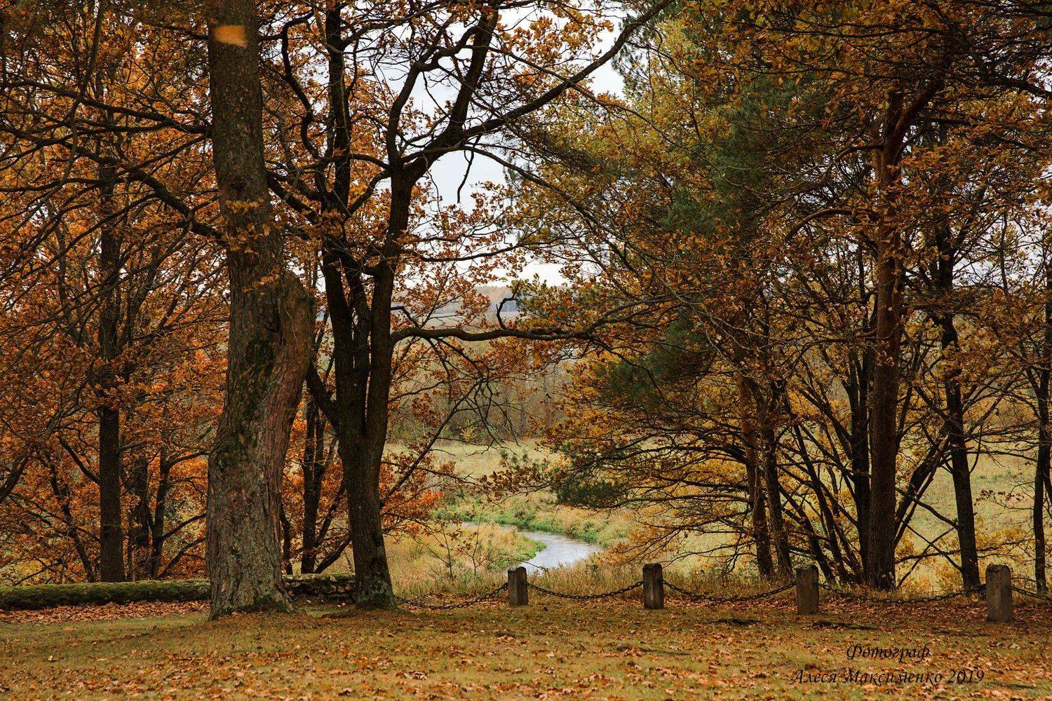 , Алеся Максименко