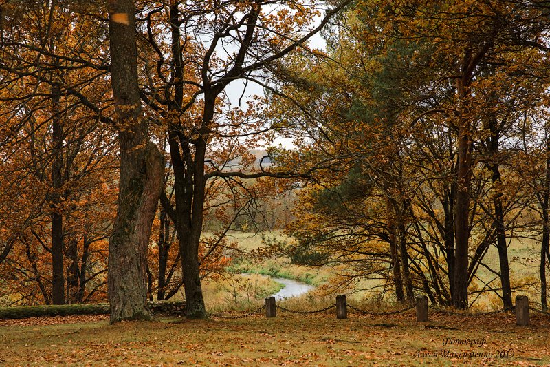 осень   фото превью