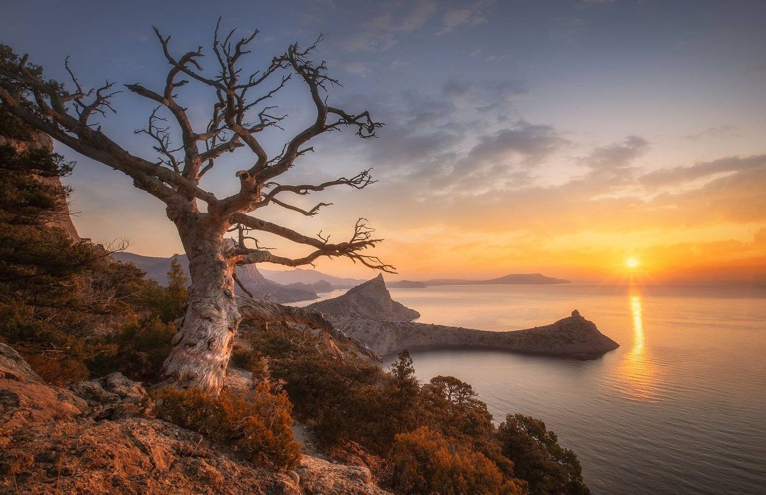 , Александр Костенко