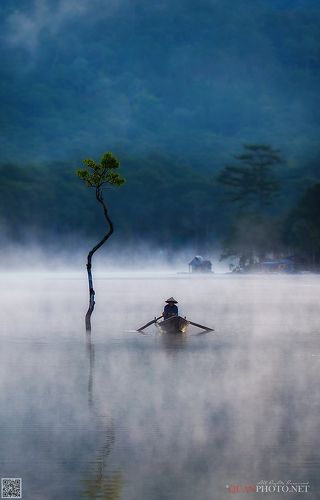 Foggy Morning