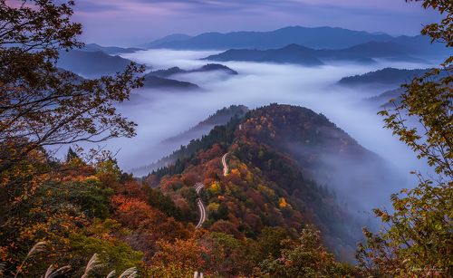 『 Path to Heaven 』
