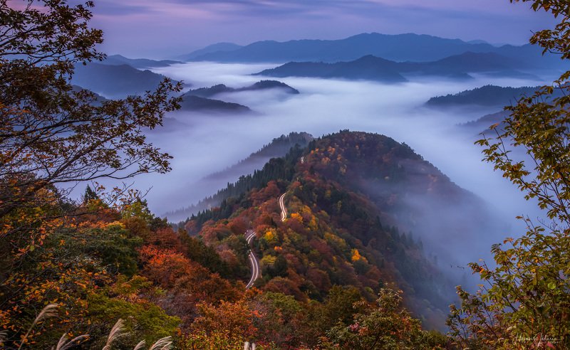 nature landscape japan mountain morning  autumn colors foggy 『 Path to Heaven 』 фото превью