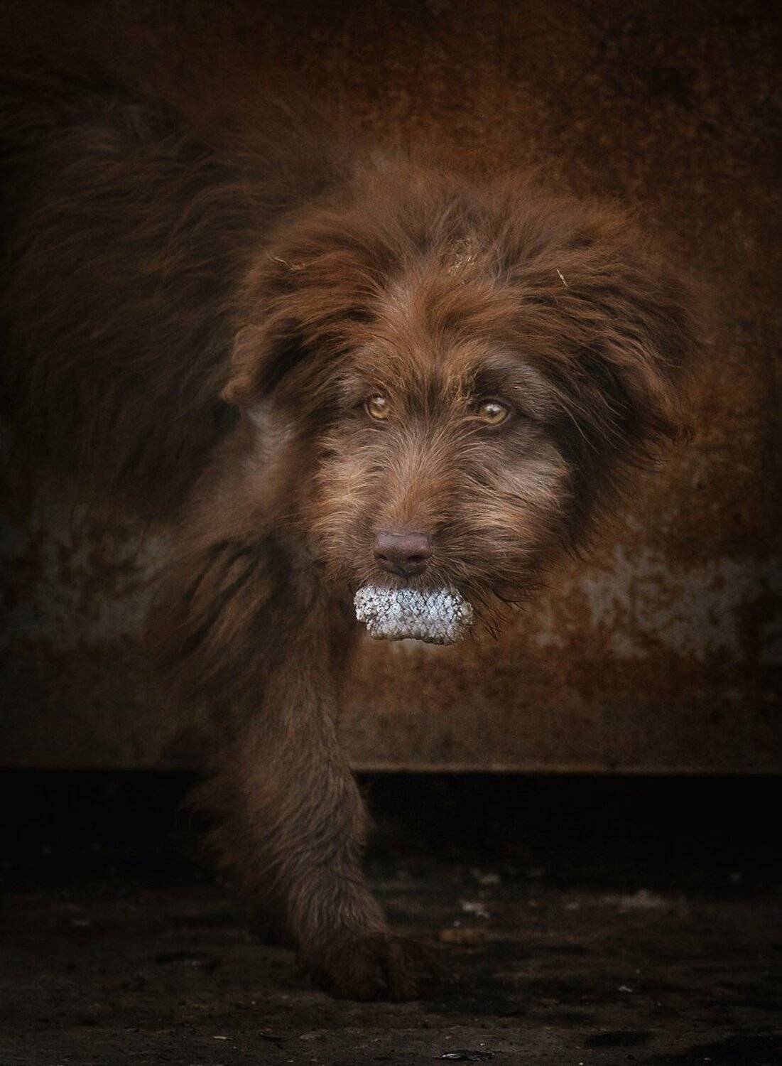 , Баранов Олег