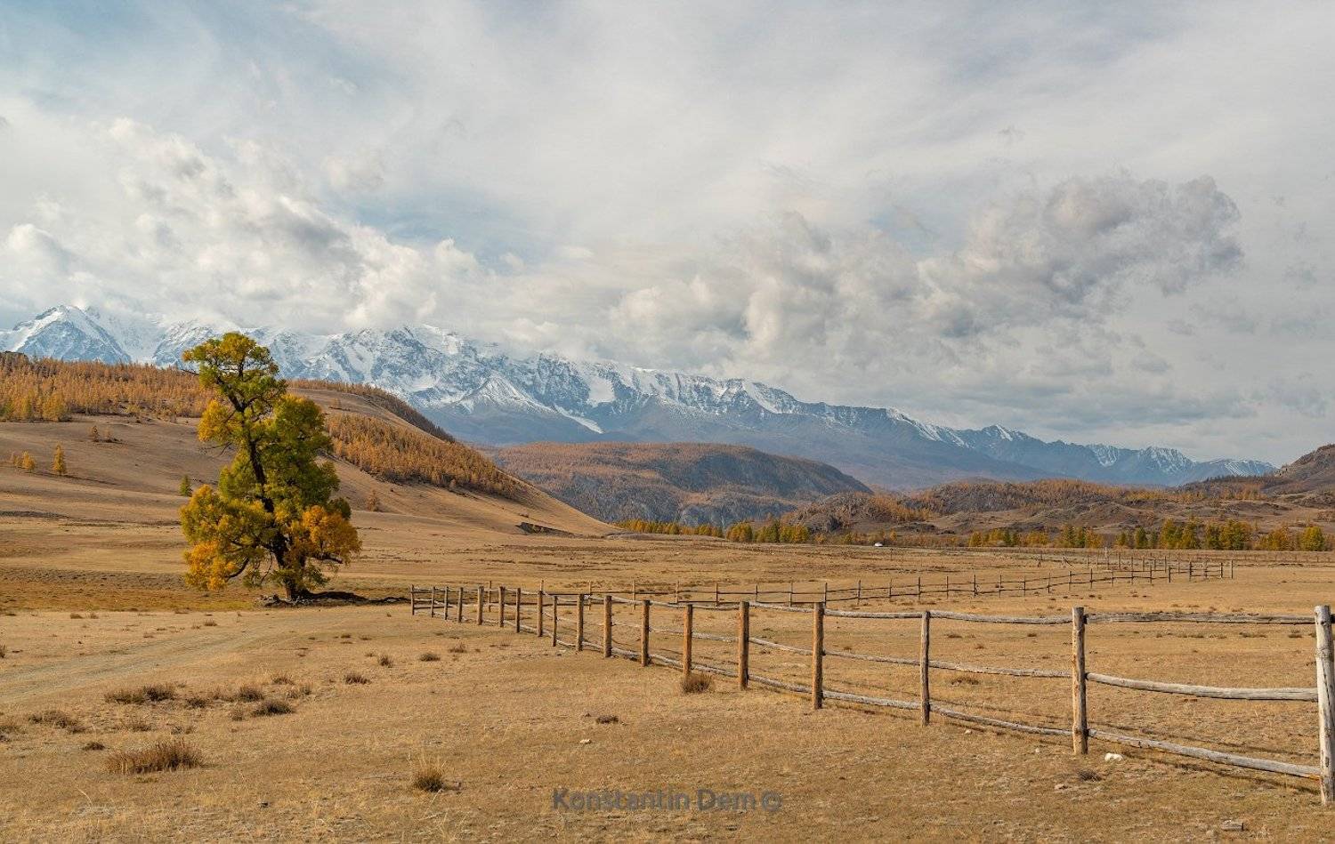 , Константин Дэм