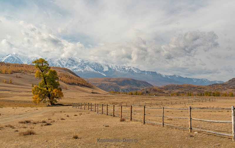 Классика жанра фото превью