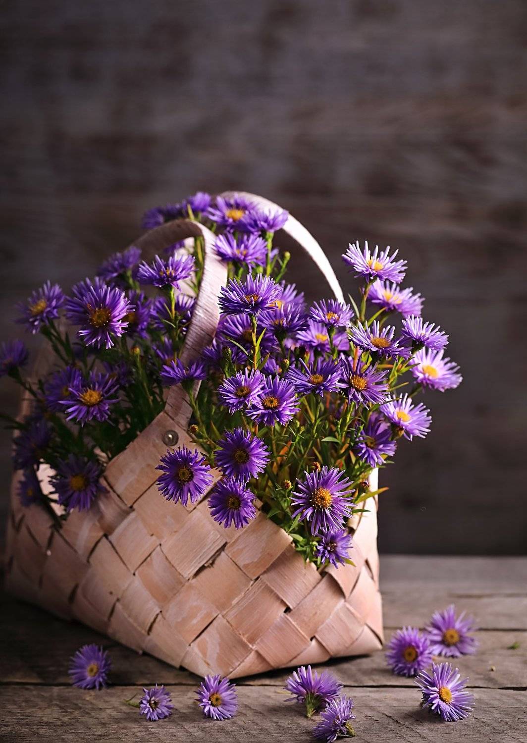 , Наталья Бочкарева