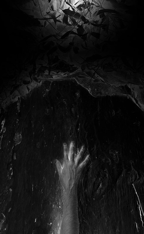 #35photo #barbadrahnama#surrealart#photoshop#ps_fantasy#photography#conceptual#fineart #instagram#art_digital #ir_photographer#ir_aks#canon#blackandwhite#bnw#surreal#art reincarnation фото превью