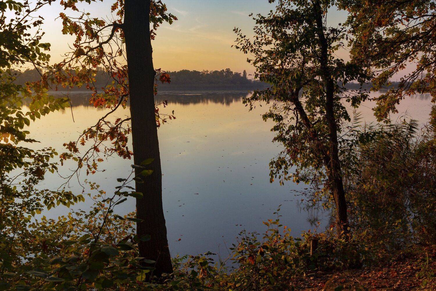 , Алексей Рыльский