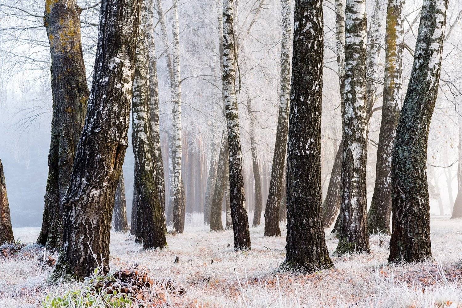 , Руслан Авдевич