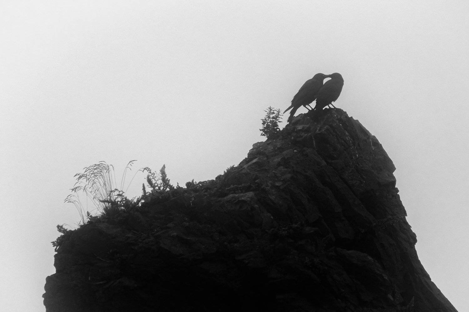 , Денис Винарь