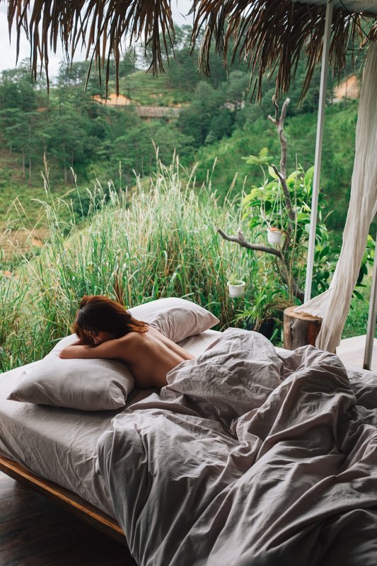 Wilder nest фото превью