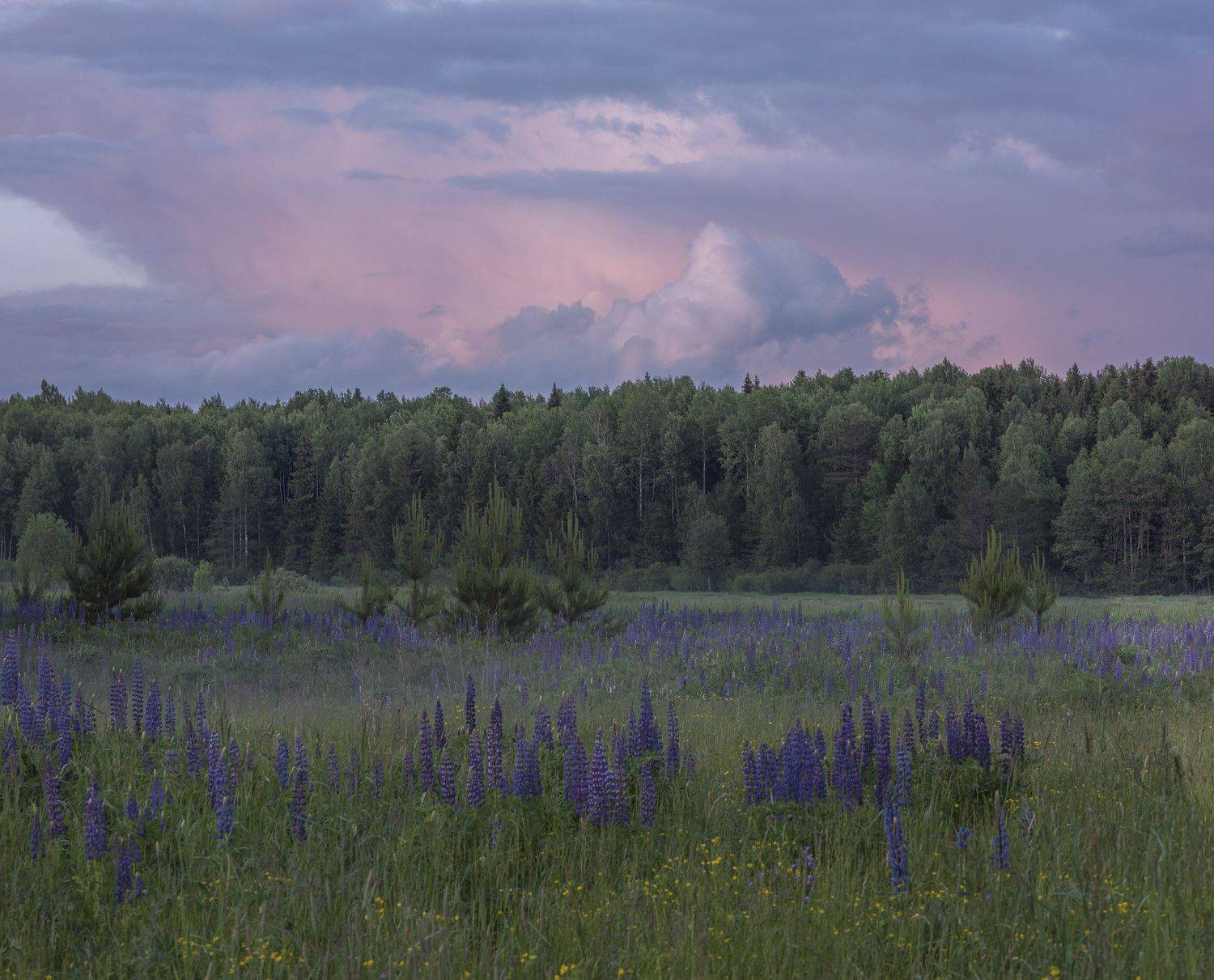 Фототуры с Владимиром Рябковым, #topnature #russpasibo #magic_shots #lovelyRussia #sunset_vision #exclusive_sky  #exclusive_shots #loves_russia2 #photoarena_nature #nature_sultans #nature_perfection #rsa_sky #rsa_sunset #photorussia #rsa_naturepics #sunse, Владимир Рябков