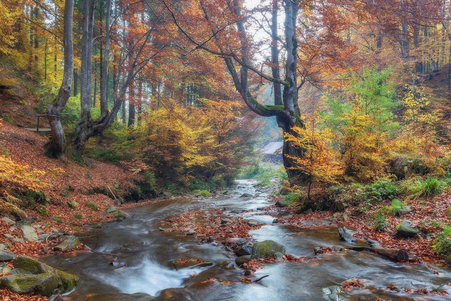 закарпатье, осень, вода, водопад, шипот, Владимир Липецких