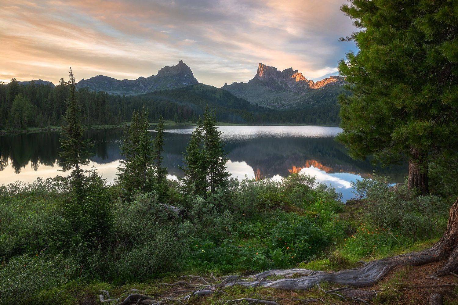 птица, звездный, саяны, ергаки, озеро светлое, лето, закат, жарки, Виктор Зайцев
