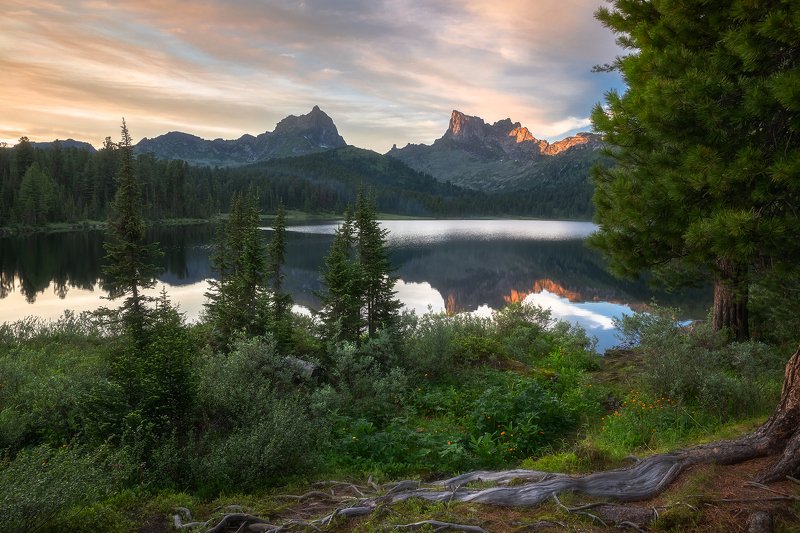 птица, звездный, саяны, ергаки, озеро светлое, лето, закат, жарки Закатная... фото превью