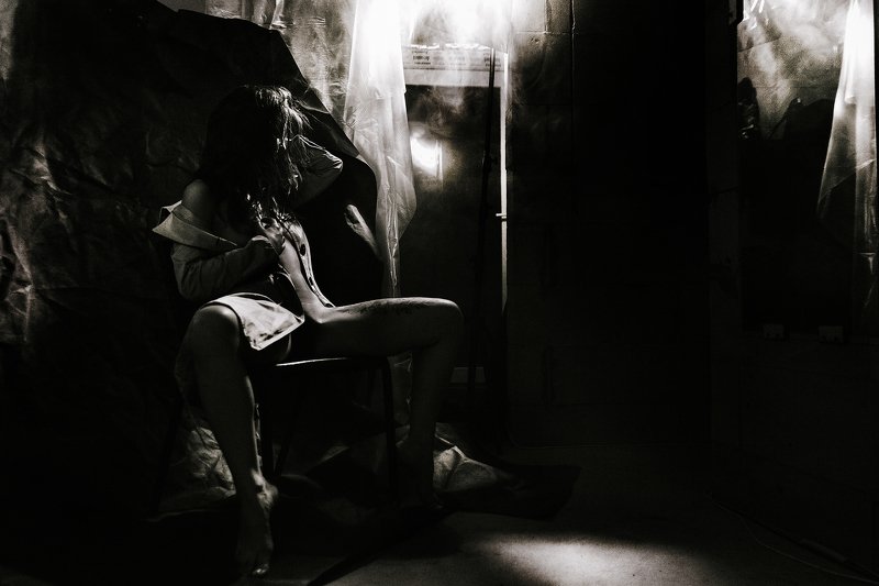 Там где животные фото превью