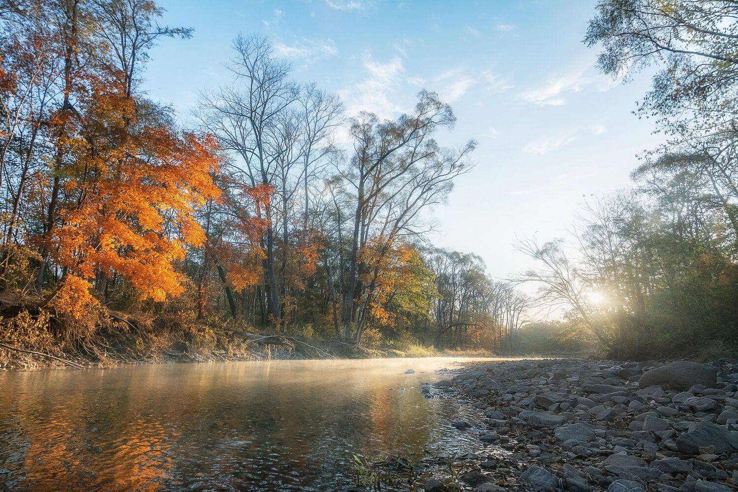 , Шинкарева Елена
