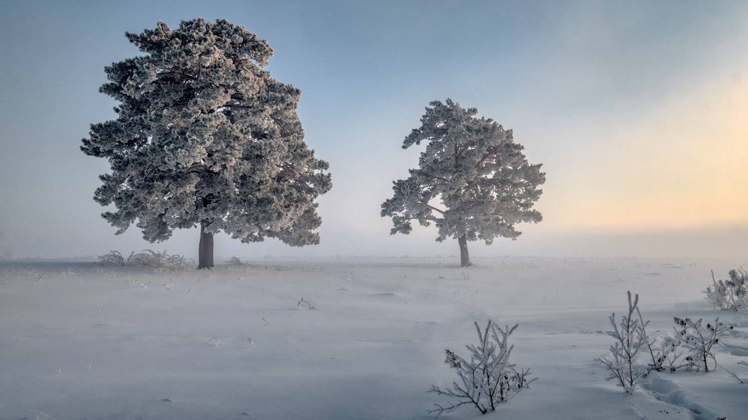зима, пейзаж, fujifilm, Константин Леонтьев