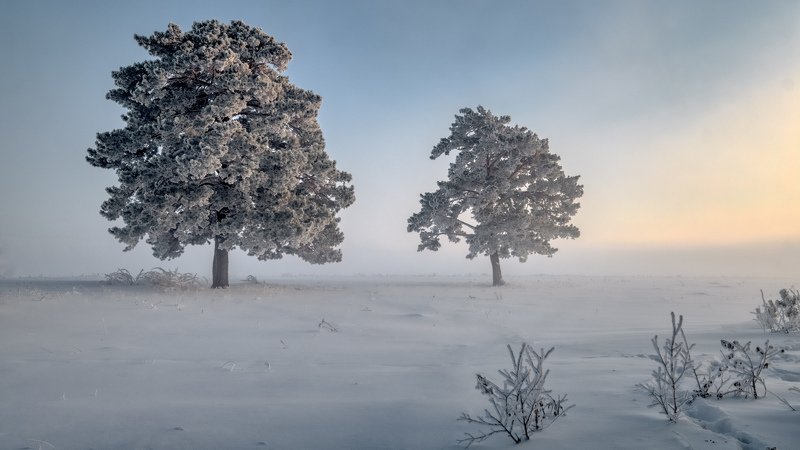 зима, пейзаж, fujifilm Сумерки... фото превью
