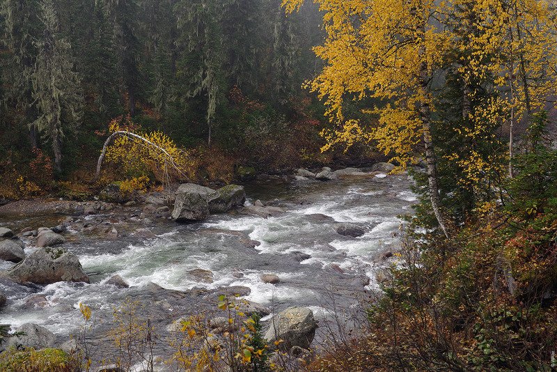 PRO осенний Казыр фото превью