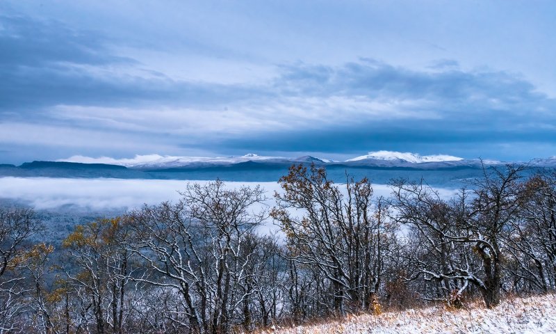 Первое утро зимы... фото превью