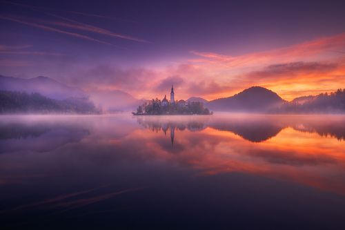 bled
