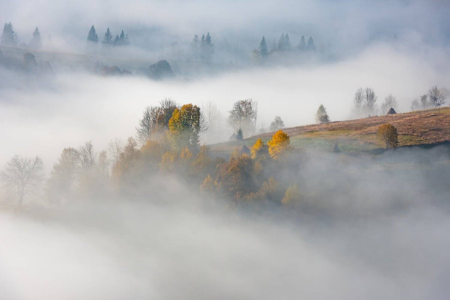 карпаты. осень. туман, Татьяна Степанова