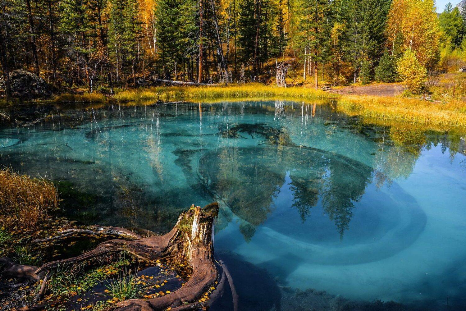 горы. алтай. осень., Евгений Дроботенко